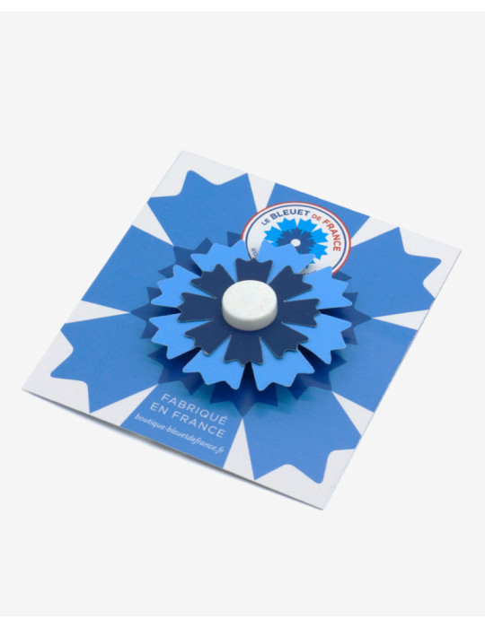 Bleuet de France en papier