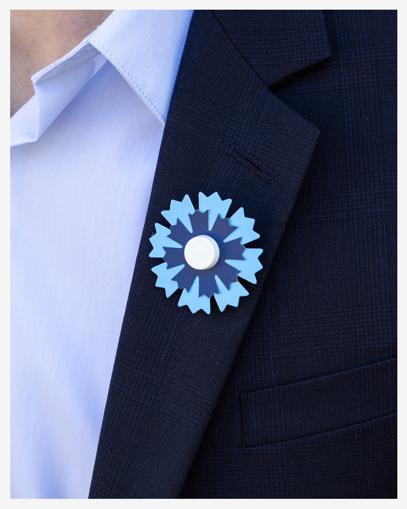 Bleuet de France en papier