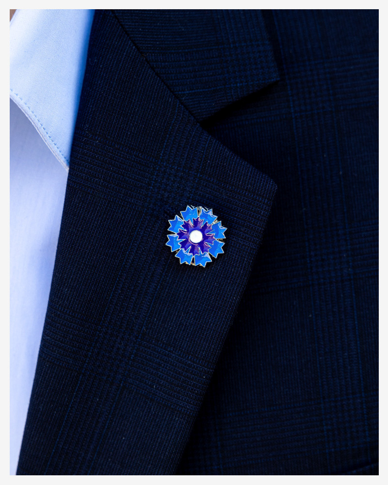 Pin's argenté Bleuet de France