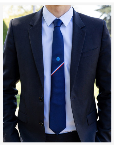 Cravate Bleuet de France x Cinabre 2