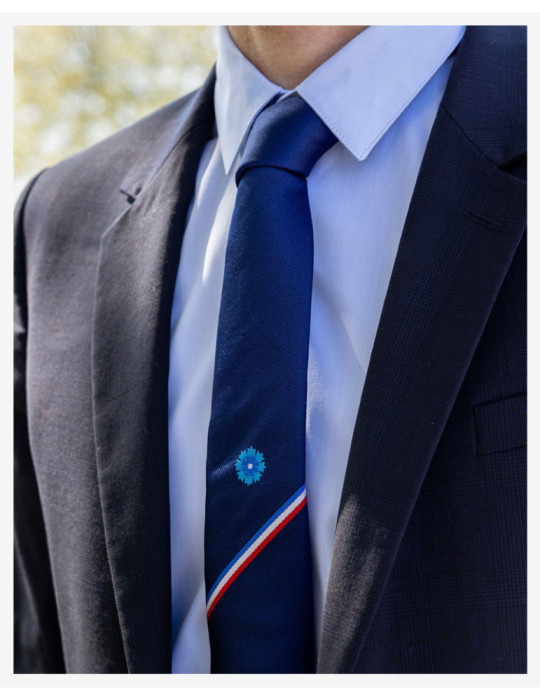 Cravate Bleuet de France x Cinabre